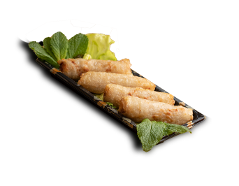 Nems au poulet et aux légumes
